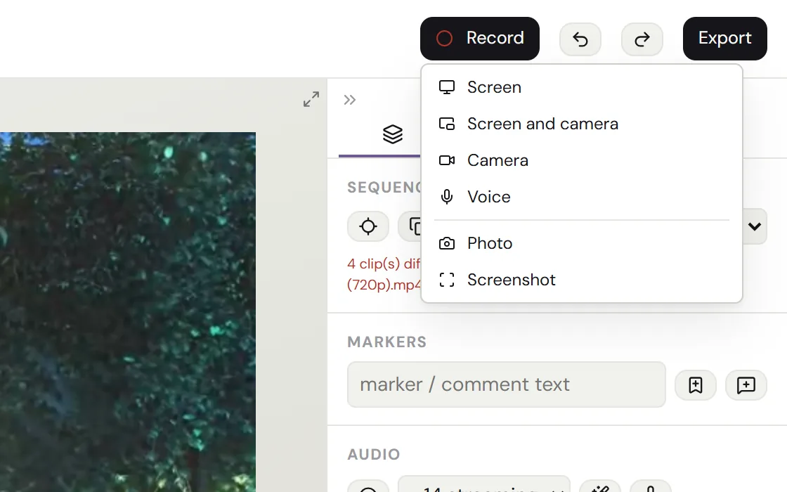The record menu: screen, screen and camera, camera, voice, a photo, a screenshot