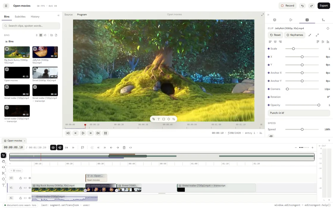 The editor with a clip selected and its animation tab open: cards for the entrance, the loop and the exit