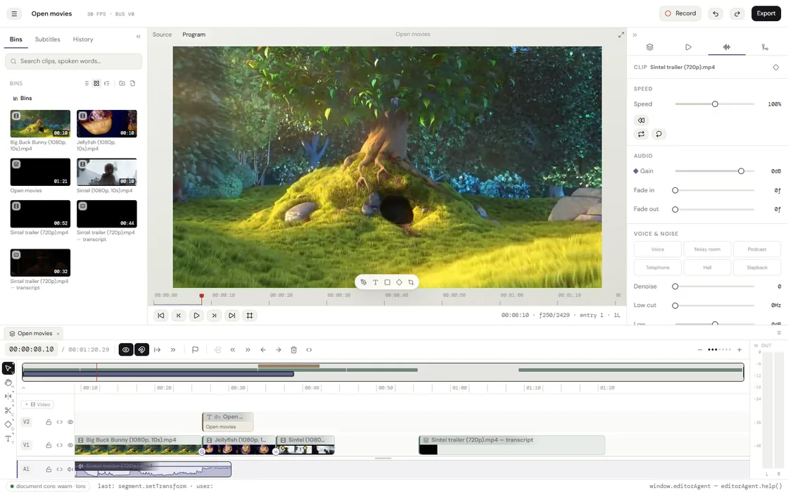 The editor with an audio clip selected: its gain, fades and the chain of effects in the rail